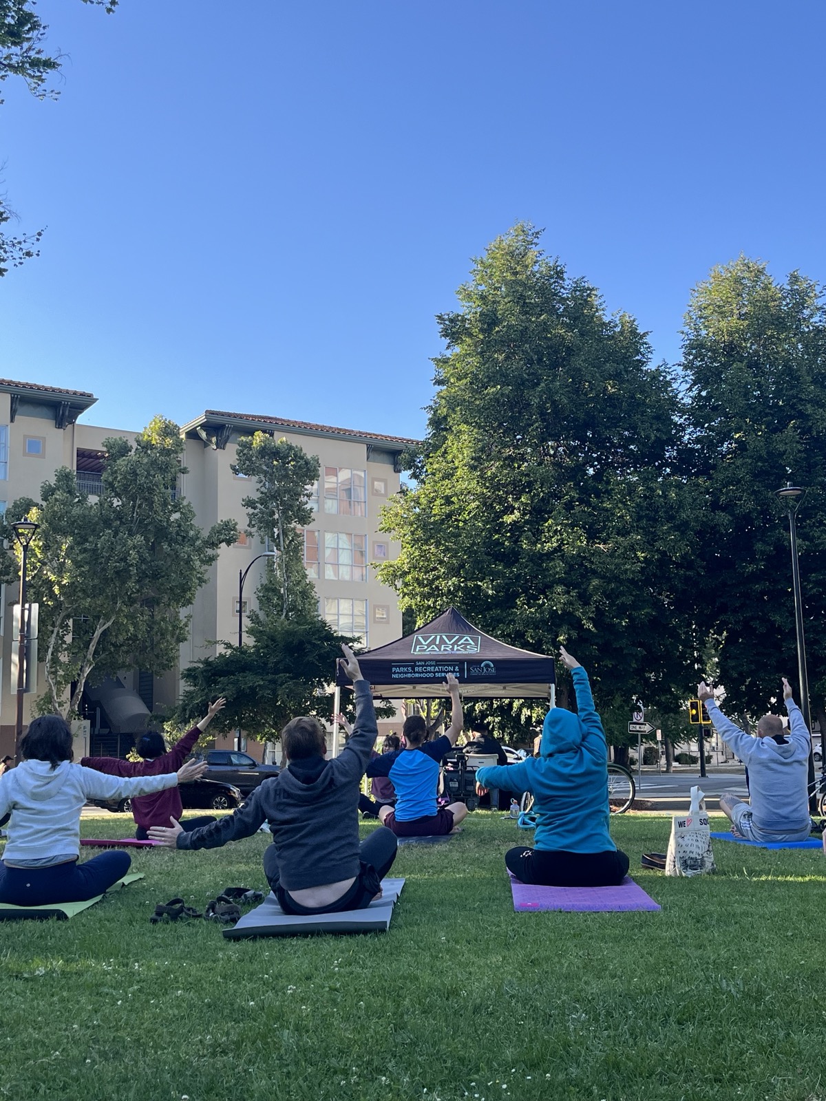 Large community yoga and wellness event in the park